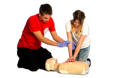 cpr training Model 2